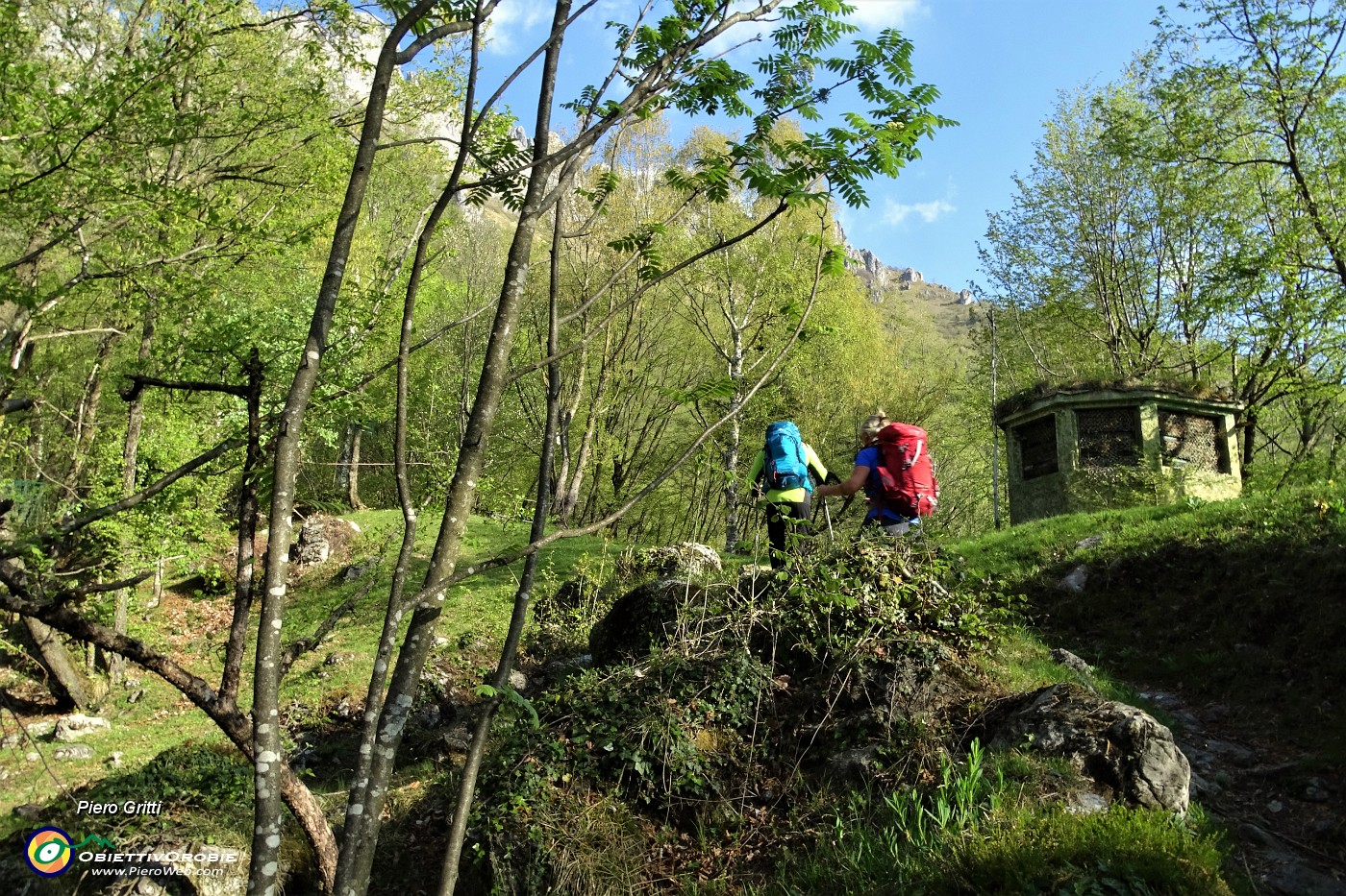 18 Passaggio ad un capanno nel bosco.JPG